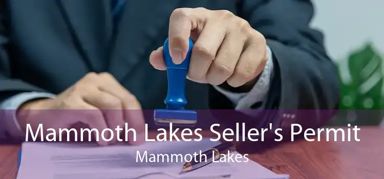 Mammoth Lakes Seller's Permit Mammoth Lakes